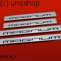 Door sills (Magnum) Porsche Cayenne 957