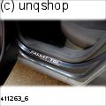 Door sills (PASSAT TDI) VW Passat B6