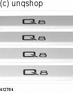 Door sills (Q8) Audi Q8 