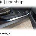 Door sills (M X6 typ1) BMW X6 E71