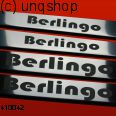 Door sills (Berlingo) Citroen BERLINGO Mk2 , only for 5 doors 